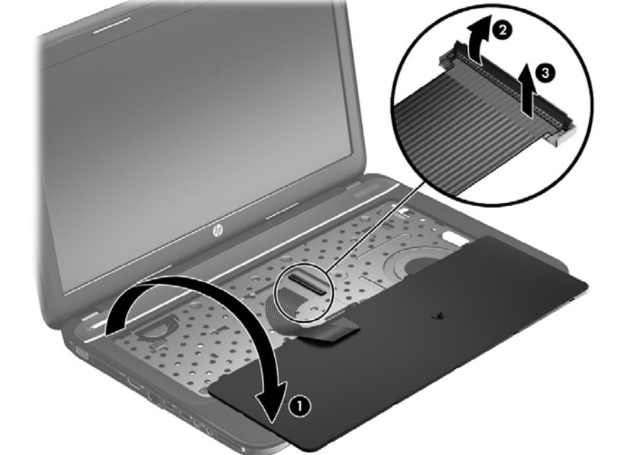 Hp Touchpad Failure Reasons at Steven Cammack blog